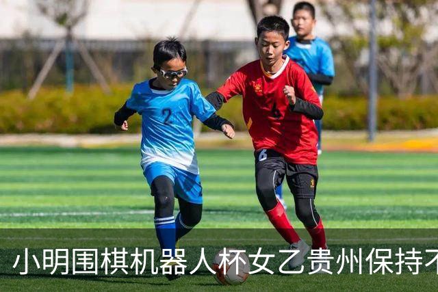 小明围棋机器人杯女乙贵州保持不败 内蒙古领跑丙组